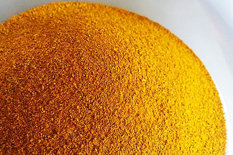 Close-up of orange grains on a bowl