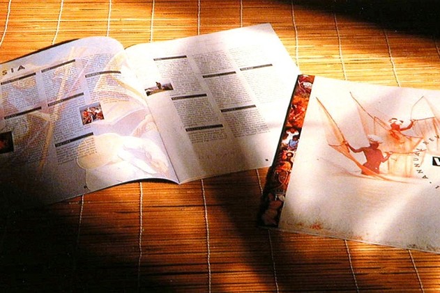 Sun gleaming on the front cover and open spread of VSO annual accounts brochure design